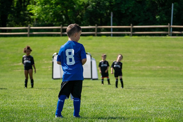 足坛经济已 足坛经济已