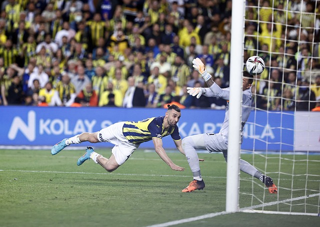 山东队几乎 山东队几乎