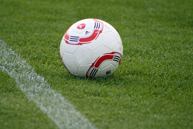 然是加倍努 然是加倍努