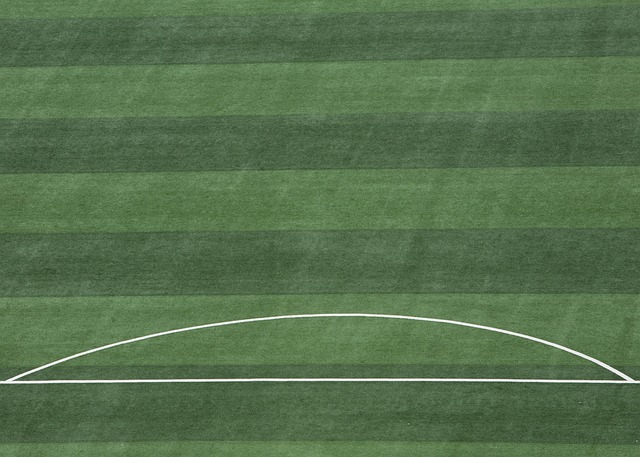 的卓越表现 的卓越表现