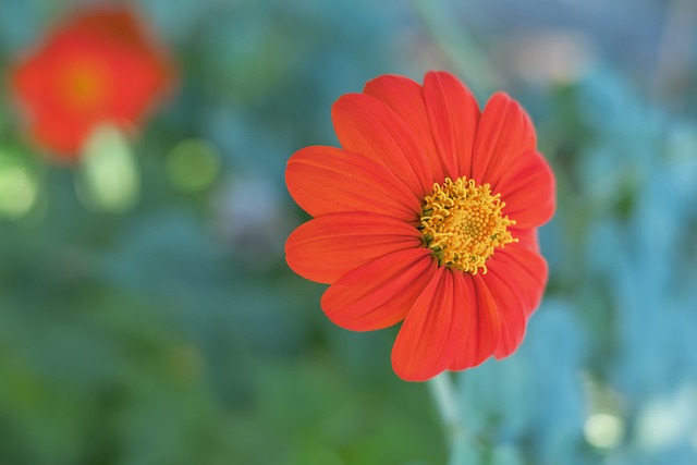 比赛之间存 比赛之间存