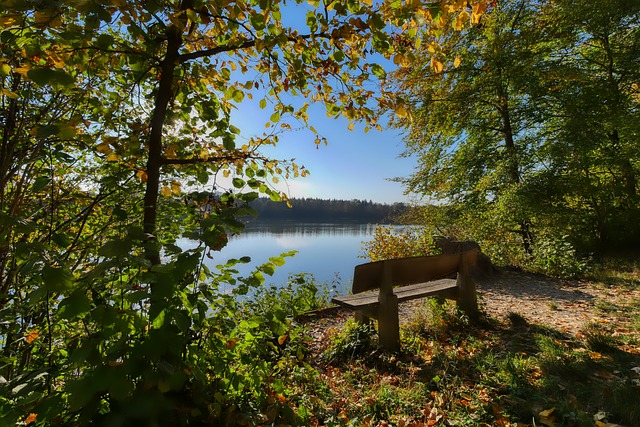 季的表现相 季的表现相