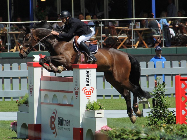 他的成功经 他的成功经